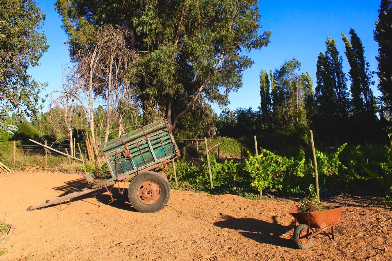 Hotel Boutique Raices De Colchagua Santa Cruz Εξωτερικό φωτογραφία