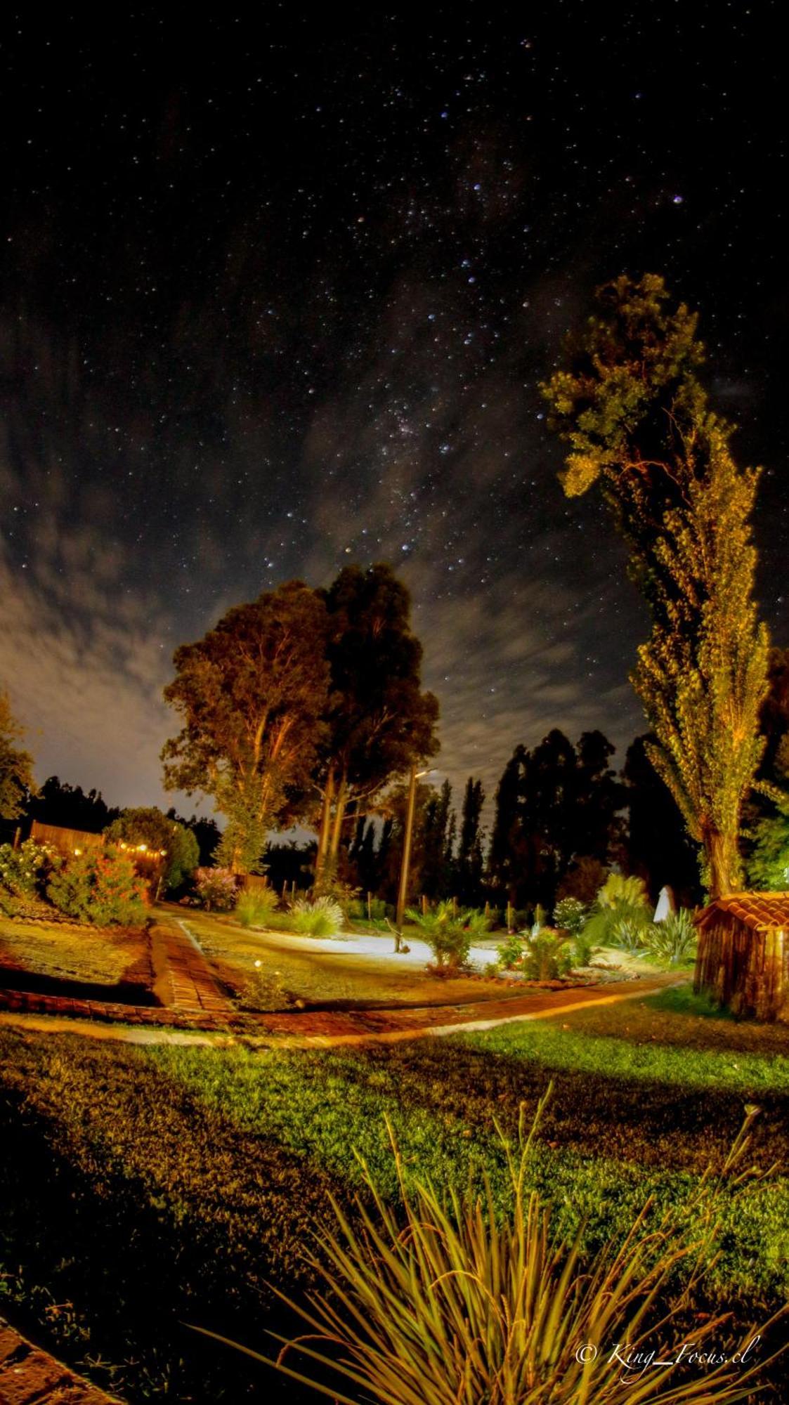 Hotel Boutique Raices De Colchagua Santa Cruz Εξωτερικό φωτογραφία